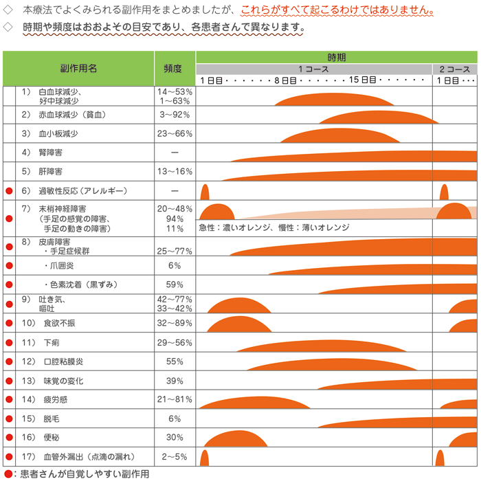レジメン別の副作用発現時期一覧イメージ