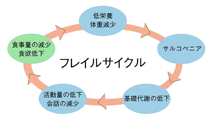 フレイルサイクル