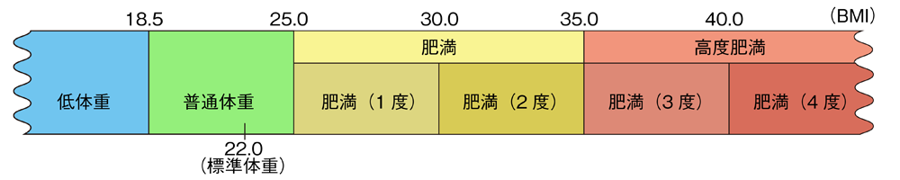 肥満度の分類